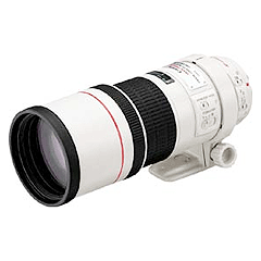 Canon EF 300mm f/4.0L IS USM - Canada and Cross-Border Price