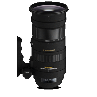 Sigma 50-500mm F4.5-6.3 APO DG OS HSM for Nikon - Canada and Cross