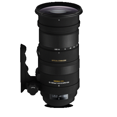 Sigma 50-500mm F4.5-6.3 APO DG OS HSM for Canon - Canada and Cross