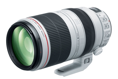 Canon EF 100-400mm f/4.5-5.6L IS II - Canada and Cross-Border