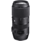 Contemporary 100-400mm f/5-6.3 DG OS HSM for Sigma