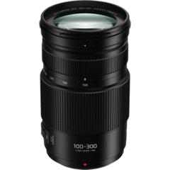 Panasonic H-FSA100300 Lumix G Vario 100-300mm f/4-5.6 II